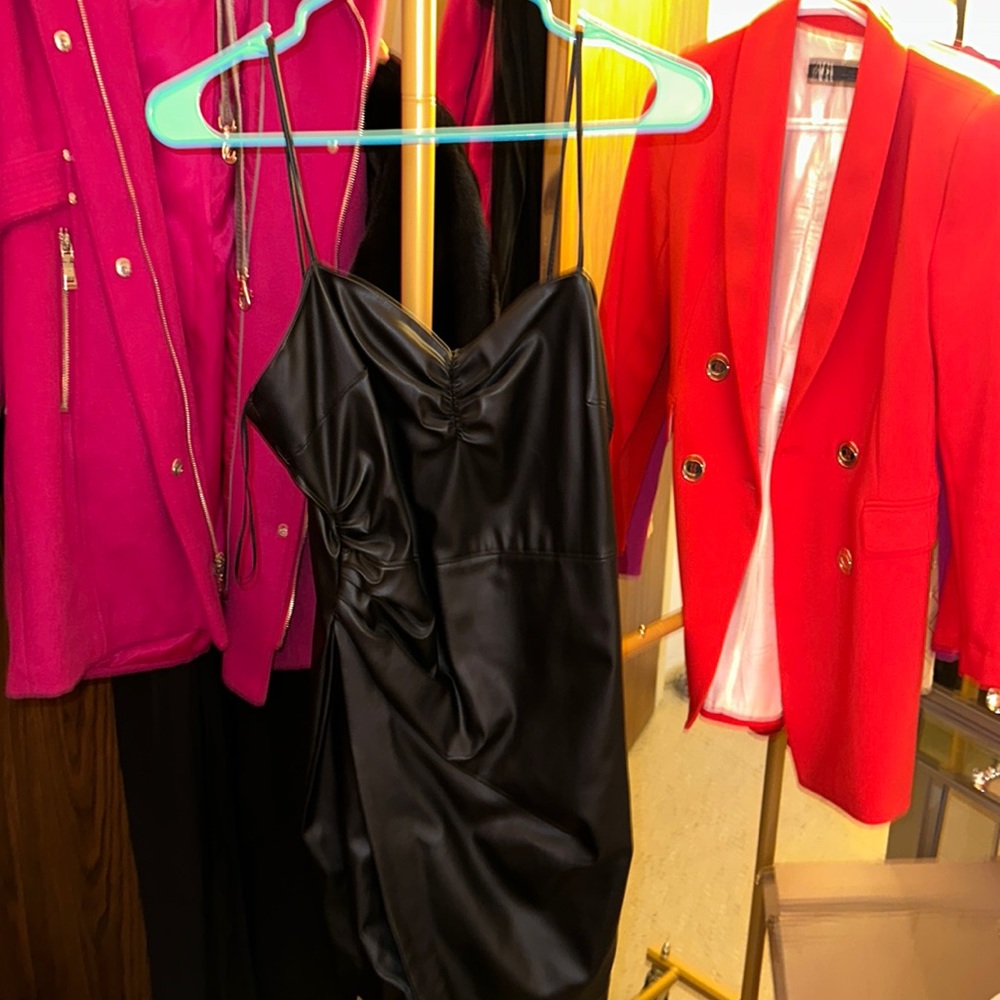 Zara leather dress